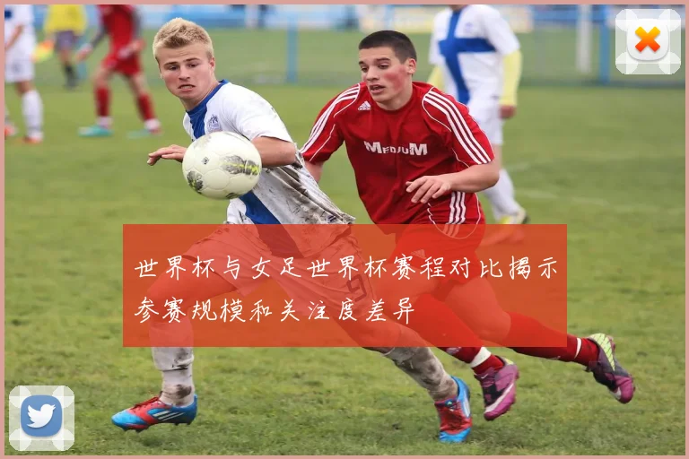 世界杯与女足世界杯赛程对比揭示参赛规模和关注度差异