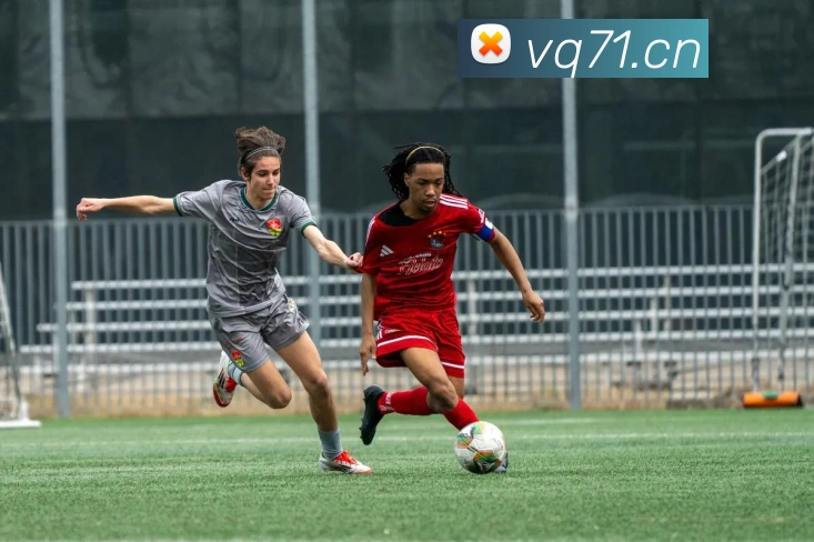 开云kaiyun网页版快速登录发展历程